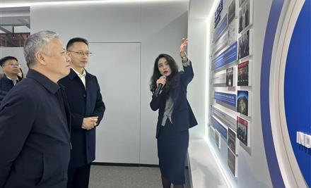 202512231330375065_440-267